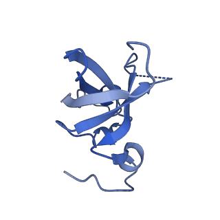 10053_6rxv_Cn_v1-1
Cryo-EM structure of the 90S pre-ribosome (Kre33-Noc4) from Chaetomium thermophilum, state B2