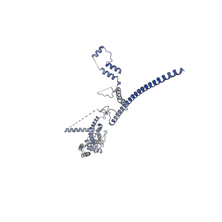 10053_6rxv_UB_v1-1
Cryo-EM structure of the 90S pre-ribosome (Kre33-Noc4) from Chaetomium thermophilum, state B2