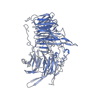 10053_6rxv_UD_v1-1
Cryo-EM structure of the 90S pre-ribosome (Kre33-Noc4) from Chaetomium thermophilum, state B2