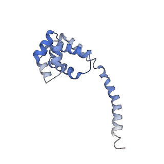 10053_6rxv_UE_v1-1
Cryo-EM structure of the 90S pre-ribosome (Kre33-Noc4) from Chaetomium thermophilum, state B2