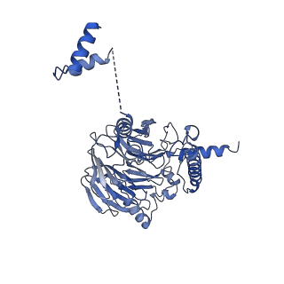 10053_6rxv_UG_v1-1
Cryo-EM structure of the 90S pre-ribosome (Kre33-Noc4) from Chaetomium thermophilum, state B2