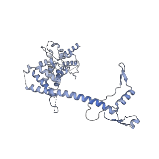 10053_6rxv_UH_v1-1
Cryo-EM structure of the 90S pre-ribosome (Kre33-Noc4) from Chaetomium thermophilum, state B2