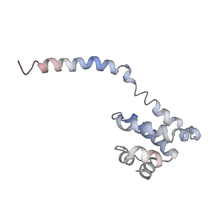 10053_6rxv_UI_v1-1
Cryo-EM structure of the 90S pre-ribosome (Kre33-Noc4) from Chaetomium thermophilum, state B2