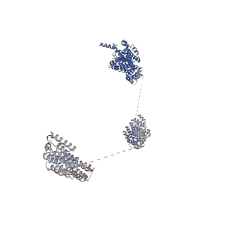 10053_6rxv_UJ_v1-1
Cryo-EM structure of the 90S pre-ribosome (Kre33-Noc4) from Chaetomium thermophilum, state B2