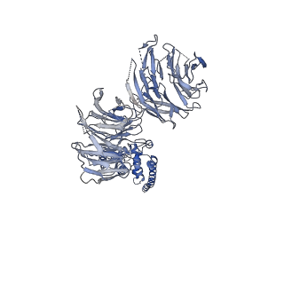 10053_6rxv_UM_v1-1
Cryo-EM structure of the 90S pre-ribosome (Kre33-Noc4) from Chaetomium thermophilum, state B2