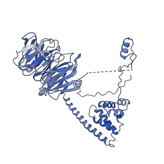 10053_6rxv_UO_v1-1
Cryo-EM structure of the 90S pre-ribosome (Kre33-Noc4) from Chaetomium thermophilum, state B2