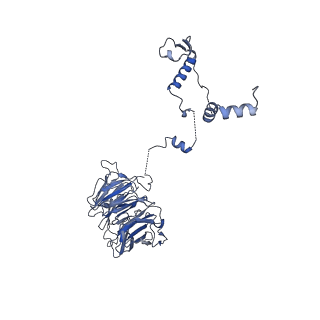 10053_6rxv_UR_v1-1
Cryo-EM structure of the 90S pre-ribosome (Kre33-Noc4) from Chaetomium thermophilum, state B2