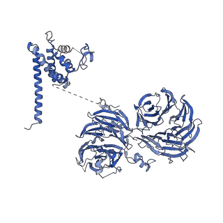 10053_6rxv_UU_v1-1
Cryo-EM structure of the 90S pre-ribosome (Kre33-Noc4) from Chaetomium thermophilum, state B2