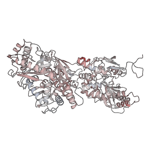 10053_6rxv_UV_v1-1
Cryo-EM structure of the 90S pre-ribosome (Kre33-Noc4) from Chaetomium thermophilum, state B2