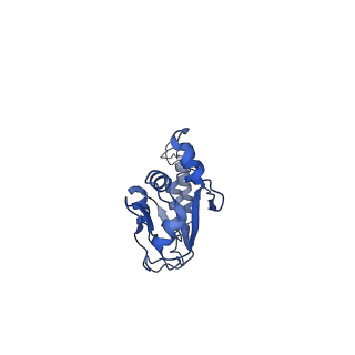 10053_6rxv_UX_v1-1
Cryo-EM structure of the 90S pre-ribosome (Kre33-Noc4) from Chaetomium thermophilum, state B2