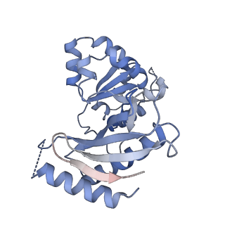 10053_6rxv_UZ_v1-1
Cryo-EM structure of the 90S pre-ribosome (Kre33-Noc4) from Chaetomium thermophilum, state B2