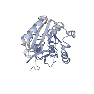 10055_6rxy_CA_v1-1
Cryo-EM structure of the 90S pre-ribosome (Kre33-Noc4) from Chaetomium thermophilum, state a