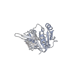 10055_6rxy_CB_v1-1
Cryo-EM structure of the 90S pre-ribosome (Kre33-Noc4) from Chaetomium thermophilum, state a