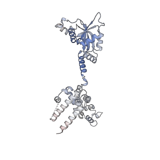 10055_6rxy_CC_v1-1
Cryo-EM structure of the 90S pre-ribosome (Kre33-Noc4) from Chaetomium thermophilum, state a
