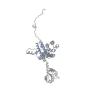 10055_6rxy_CD_v1-1
Cryo-EM structure of the 90S pre-ribosome (Kre33-Noc4) from Chaetomium thermophilum, state a