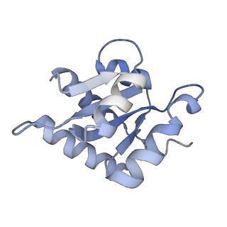 10055_6rxy_CE_v1-1
Cryo-EM structure of the 90S pre-ribosome (Kre33-Noc4) from Chaetomium thermophilum, state a