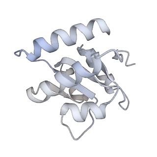10055_6rxy_CF_v1-1
Cryo-EM structure of the 90S pre-ribosome (Kre33-Noc4) from Chaetomium thermophilum, state a