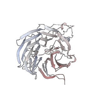 10055_6rxy_CG_v1-1
Cryo-EM structure of the 90S pre-ribosome (Kre33-Noc4) from Chaetomium thermophilum, state a