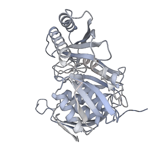 10055_6rxy_CH_v1-1
Cryo-EM structure of the 90S pre-ribosome (Kre33-Noc4) from Chaetomium thermophilum, state a