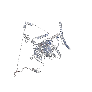 10055_6rxy_CI_v1-1
Cryo-EM structure of the 90S pre-ribosome (Kre33-Noc4) from Chaetomium thermophilum, state a