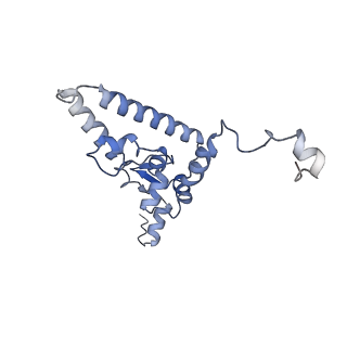 10055_6rxy_CJ_v1-1
Cryo-EM structure of the 90S pre-ribosome (Kre33-Noc4) from Chaetomium thermophilum, state a
