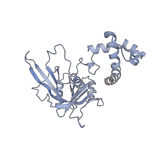 10055_6rxy_CK_v1-1
Cryo-EM structure of the 90S pre-ribosome (Kre33-Noc4) from Chaetomium thermophilum, state a