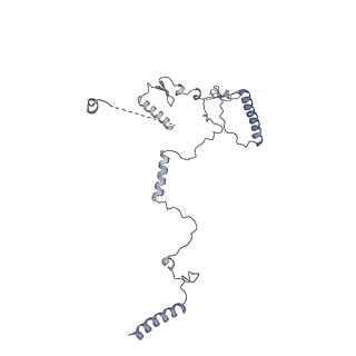10055_6rxy_CL_v1-1
Cryo-EM structure of the 90S pre-ribosome (Kre33-Noc4) from Chaetomium thermophilum, state a