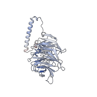 10055_6rxy_CM_v1-1
Cryo-EM structure of the 90S pre-ribosome (Kre33-Noc4) from Chaetomium thermophilum, state a