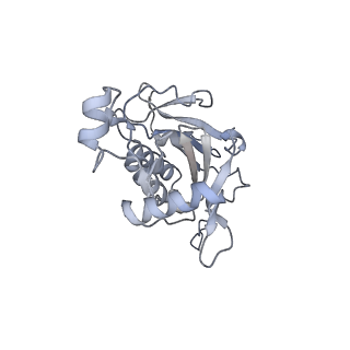 10055_6rxy_CN_v1-1
Cryo-EM structure of the 90S pre-ribosome (Kre33-Noc4) from Chaetomium thermophilum, state a
