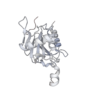 10055_6rxy_CO_v1-1
Cryo-EM structure of the 90S pre-ribosome (Kre33-Noc4) from Chaetomium thermophilum, state a