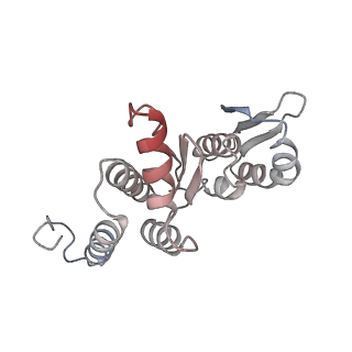 10055_6rxy_CP_v1-1
Cryo-EM structure of the 90S pre-ribosome (Kre33-Noc4) from Chaetomium thermophilum, state a