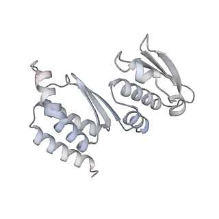 10055_6rxy_CQ_v1-1
Cryo-EM structure of the 90S pre-ribosome (Kre33-Noc4) from Chaetomium thermophilum, state a