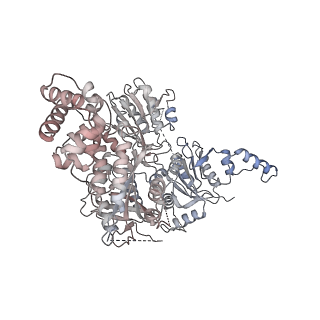 10055_6rxy_CR_v1-1
Cryo-EM structure of the 90S pre-ribosome (Kre33-Noc4) from Chaetomium thermophilum, state a