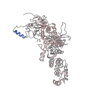 10055_6rxy_CS_v1-1
Cryo-EM structure of the 90S pre-ribosome (Kre33-Noc4) from Chaetomium thermophilum, state a