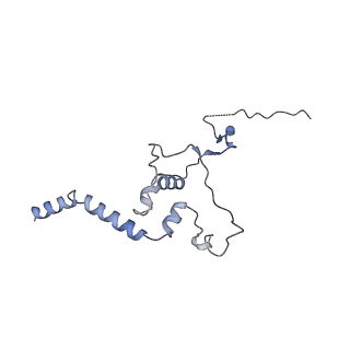10055_6rxy_CT_v1-1
Cryo-EM structure of the 90S pre-ribosome (Kre33-Noc4) from Chaetomium thermophilum, state a