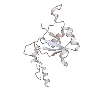 10055_6rxy_CV_v1-1
Cryo-EM structure of the 90S pre-ribosome (Kre33-Noc4) from Chaetomium thermophilum, state a