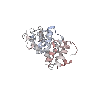 10055_6rxy_CX_v1-1
Cryo-EM structure of the 90S pre-ribosome (Kre33-Noc4) from Chaetomium thermophilum, state a