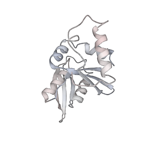 10055_6rxy_Ce_v1-1
Cryo-EM structure of the 90S pre-ribosome (Kre33-Noc4) from Chaetomium thermophilum, state a
