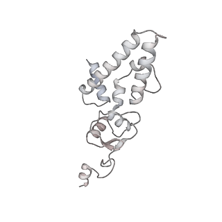 10055_6rxy_Cg_v1-1
Cryo-EM structure of the 90S pre-ribosome (Kre33-Noc4) from Chaetomium thermophilum, state a