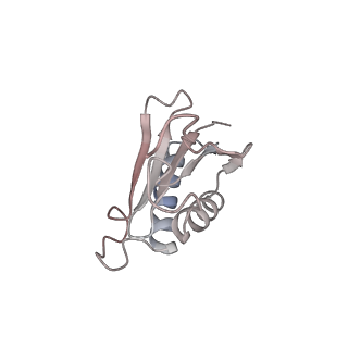 10055_6rxy_Ci_v1-1
Cryo-EM structure of the 90S pre-ribosome (Kre33-Noc4) from Chaetomium thermophilum, state a