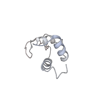 10055_6rxy_Cl_v1-1
Cryo-EM structure of the 90S pre-ribosome (Kre33-Noc4) from Chaetomium thermophilum, state a