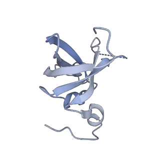 10055_6rxy_Cn_v1-1
Cryo-EM structure of the 90S pre-ribosome (Kre33-Noc4) from Chaetomium thermophilum, state a