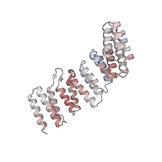 10055_6rxy_Cz_v1-1
Cryo-EM structure of the 90S pre-ribosome (Kre33-Noc4) from Chaetomium thermophilum, state a