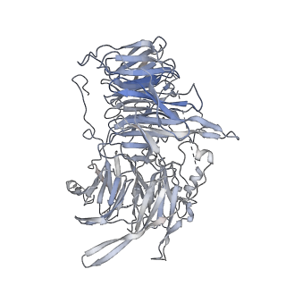 10055_6rxy_UD_v1-1
Cryo-EM structure of the 90S pre-ribosome (Kre33-Noc4) from Chaetomium thermophilum, state a