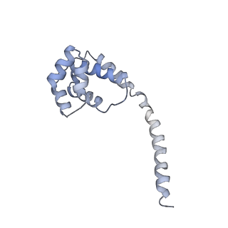 10055_6rxy_UE_v1-1
Cryo-EM structure of the 90S pre-ribosome (Kre33-Noc4) from Chaetomium thermophilum, state a