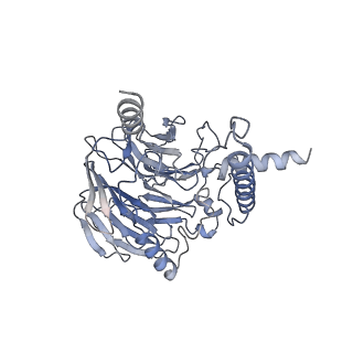 10055_6rxy_UG_v1-1
Cryo-EM structure of the 90S pre-ribosome (Kre33-Noc4) from Chaetomium thermophilum, state a