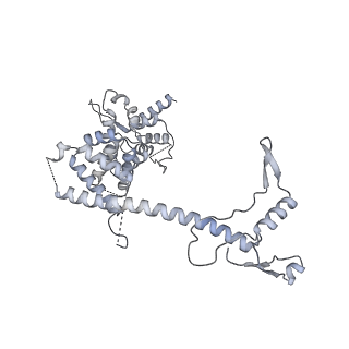 10055_6rxy_UH_v1-1
Cryo-EM structure of the 90S pre-ribosome (Kre33-Noc4) from Chaetomium thermophilum, state a