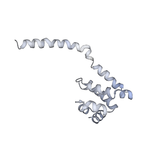10055_6rxy_UI_v1-1
Cryo-EM structure of the 90S pre-ribosome (Kre33-Noc4) from Chaetomium thermophilum, state a