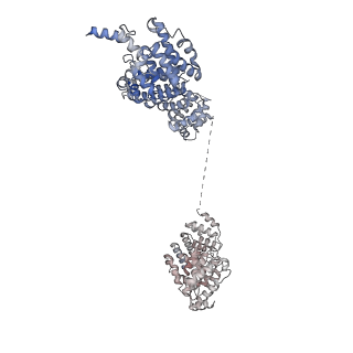 10055_6rxy_UJ_v1-1
Cryo-EM structure of the 90S pre-ribosome (Kre33-Noc4) from Chaetomium thermophilum, state a