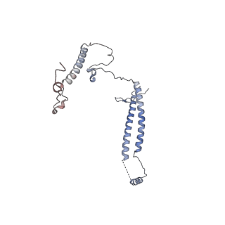 10055_6rxy_UK_v1-1
Cryo-EM structure of the 90S pre-ribosome (Kre33-Noc4) from Chaetomium thermophilum, state a